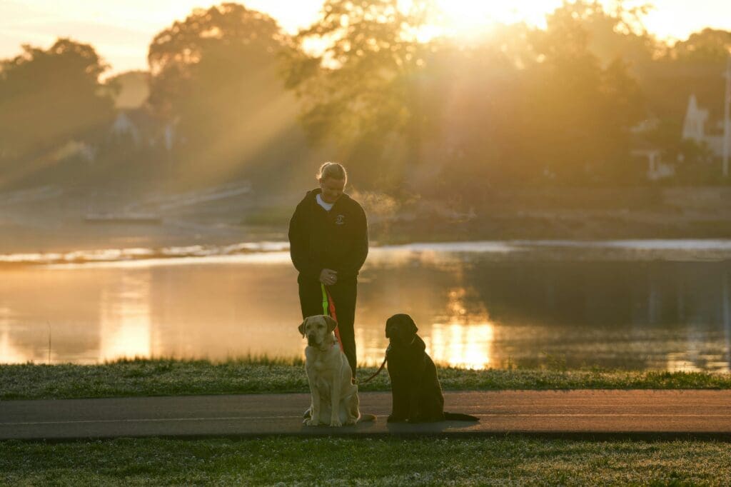 #Person standing with two leashed dogs by a calm lake at sunset, warm golden light filtering through trees.